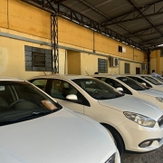 Foto horizontal colorida mostra fileira de carros brancos estacionados em um galpão